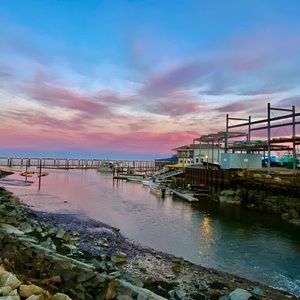 Meet your Posher, Barbara